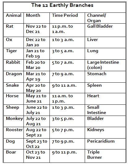 the 12 earthly branches