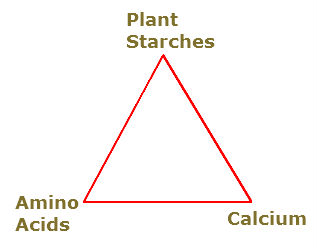 anti aging foods longivity formula immortality