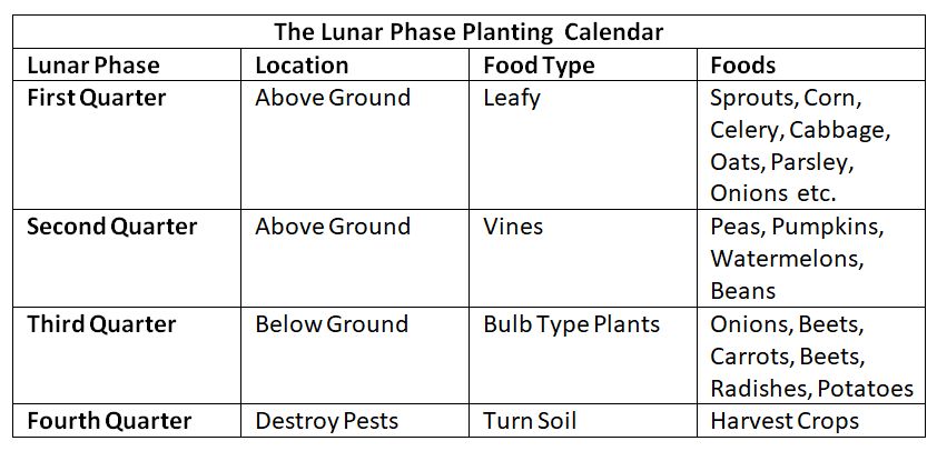 Moon Lunar Phase planting calendar